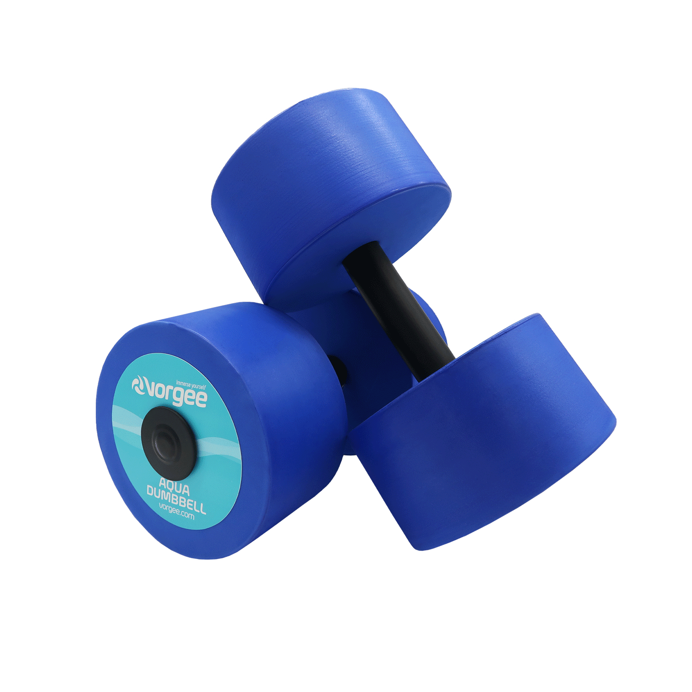Two Aqua Dumbells each with a blue weight and black bar - sold as a pair